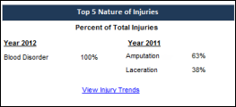 Safety Scorecard: Top 5 Nature of Injuries Section